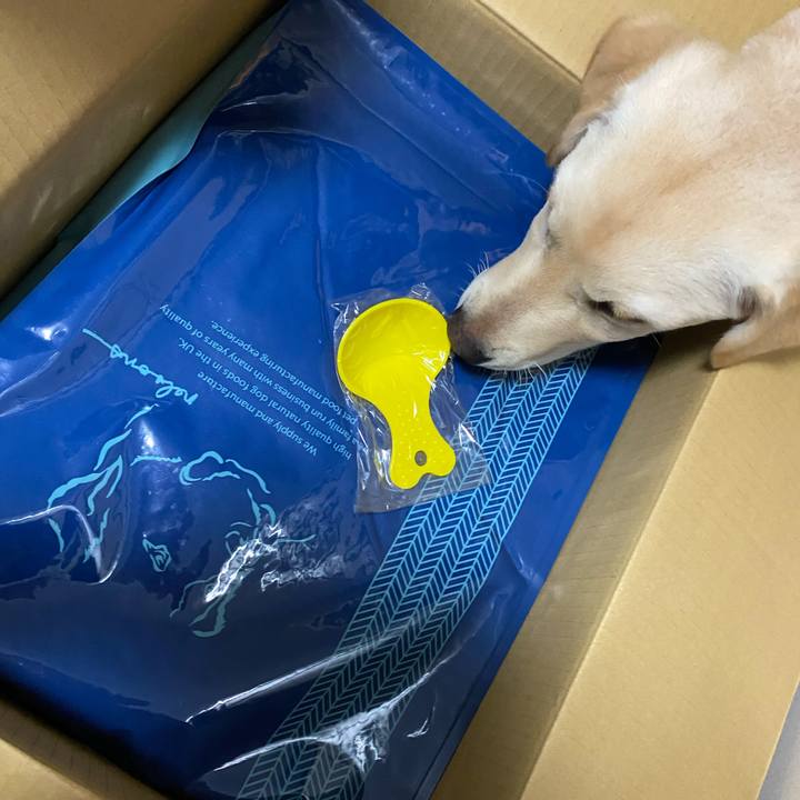 058bf131 cd8e 4e29 b527 a021fbd4e75f 1617237135650