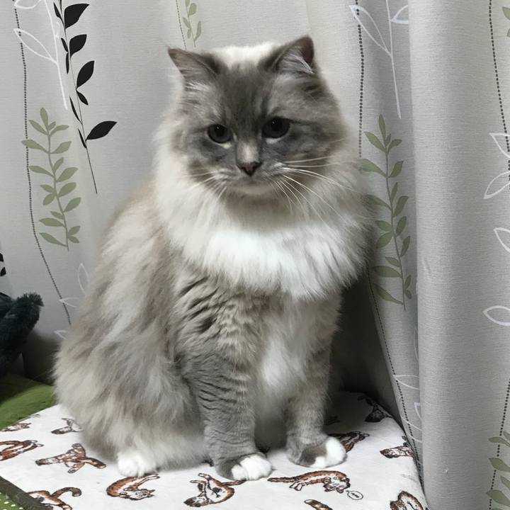 058bfe32 7567 4c22 998f 2556bd581259 1517403698897