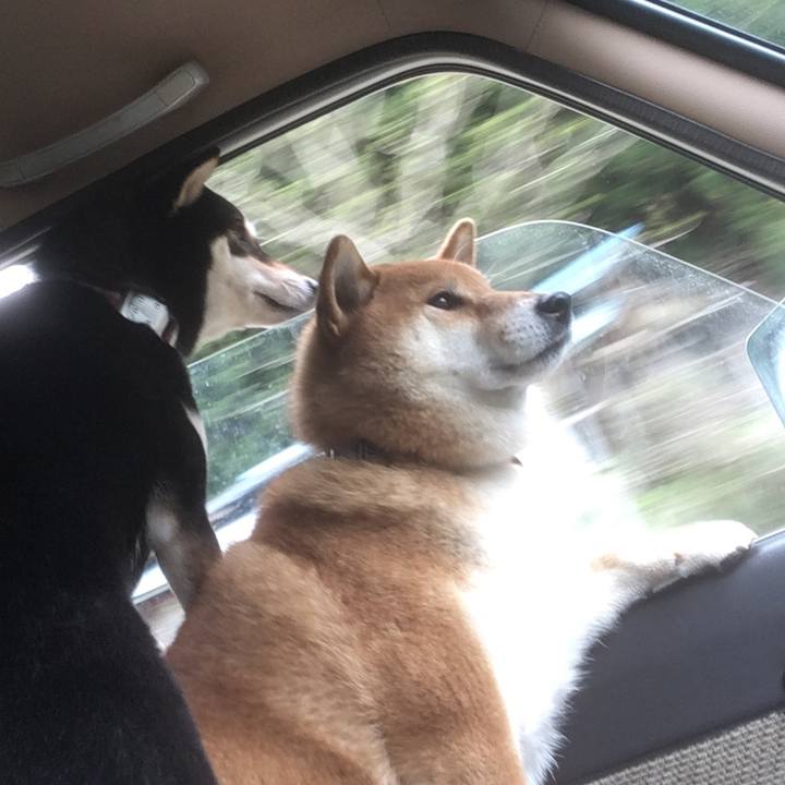 058c2a21 30de 4060 ac3b 68bf1701b956 1556637591534