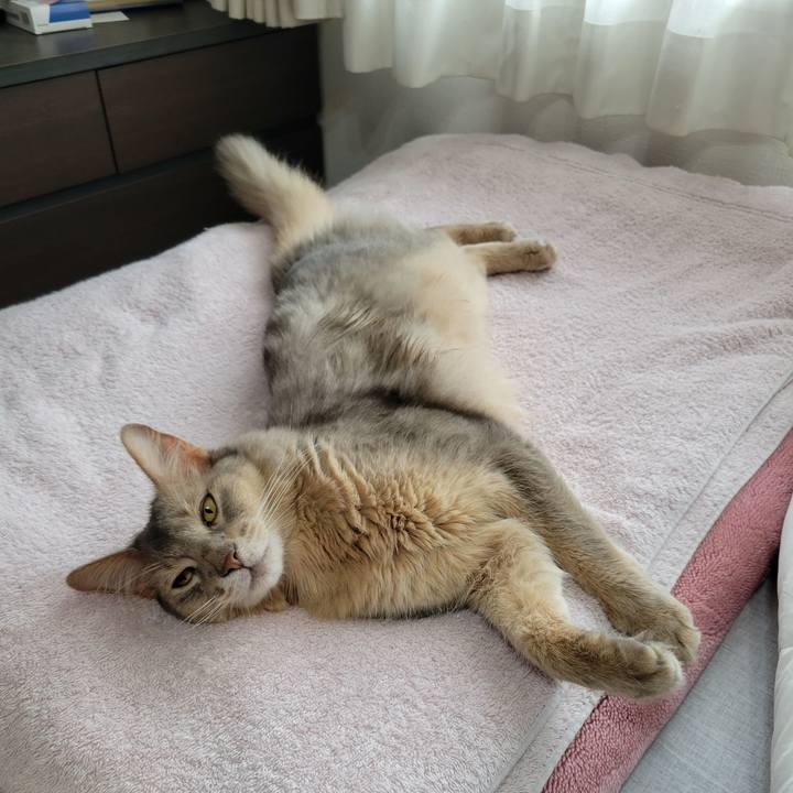 058c37a7 7c90 4e2d 9435 bb2193f5305f 1655869015947