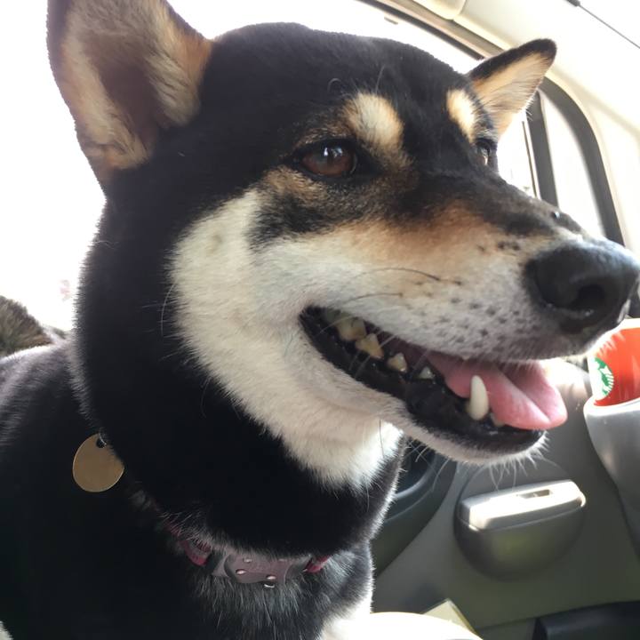 058c7078 39cd 4a95 8ad4 398649a531eb 1528526214845