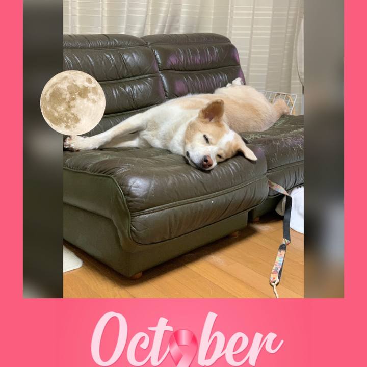 058c730b c252 4523 8d51 577925e41a77 1601739433123