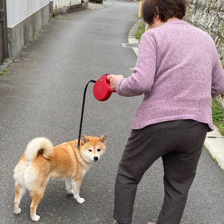 058c7612 45ef 4ffa bf20 3a8bbbf0b0c6 1585398651731