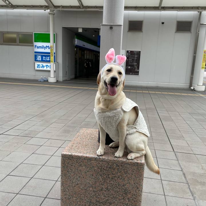 058c907d 7783 495b 937e a21a289e4012 1635571798349