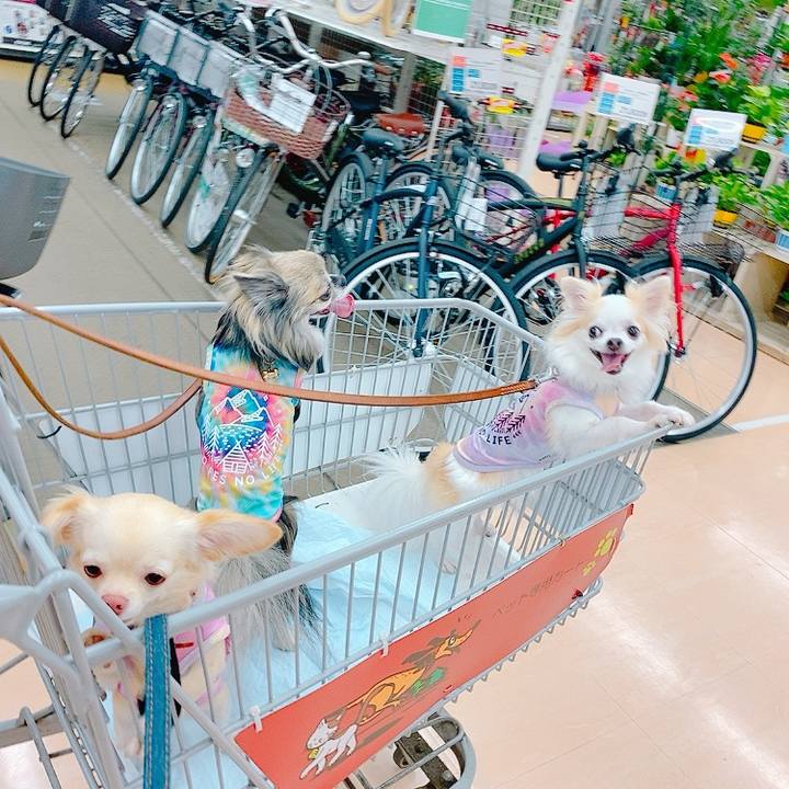 058c9e58 9570 4f49 8ccd 77874e64aa27 1629293264332