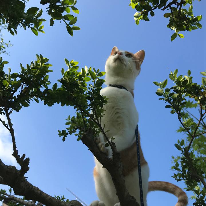 058ccbed b7c6 4f86 bba5 8b51d47c998d 1527848669219