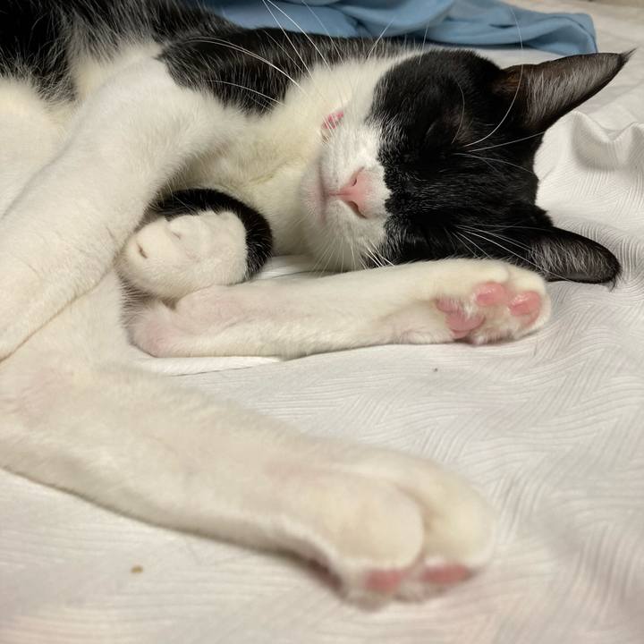 058cd616 108a 44d6 bcb3 b1a67fe3e6ea 1619077071308