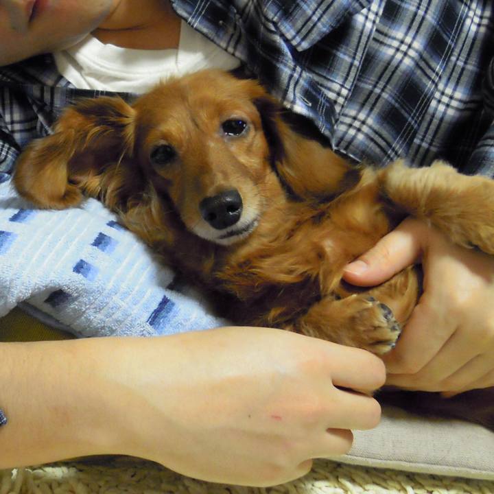 058cd633 bc92 4796 b1f4 9133aa24399f 1575826769212