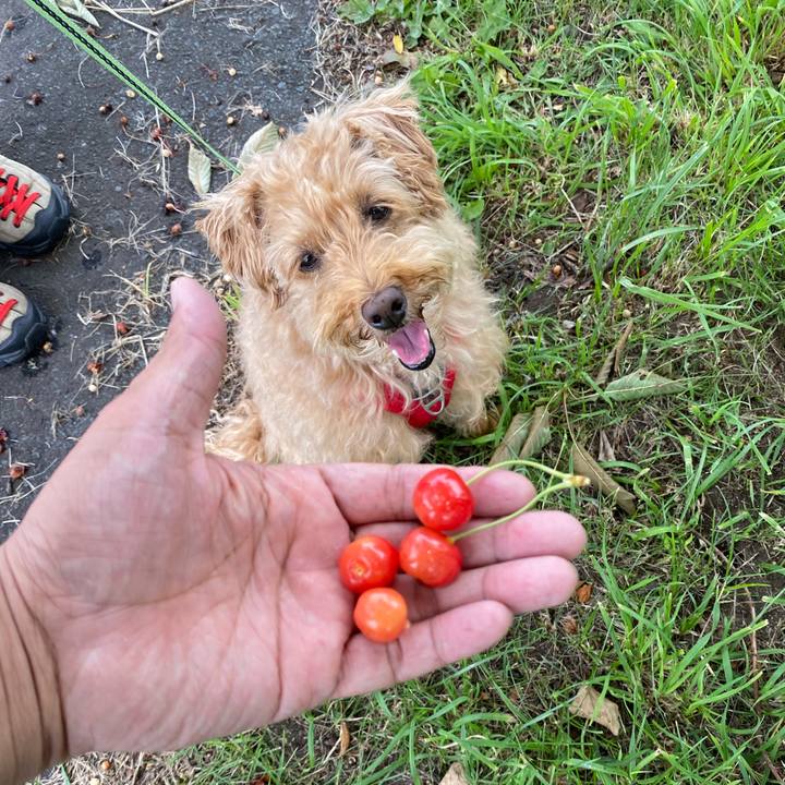 058cd970 6a5e 4d50 9aea 14e1f8876369 1688984015722