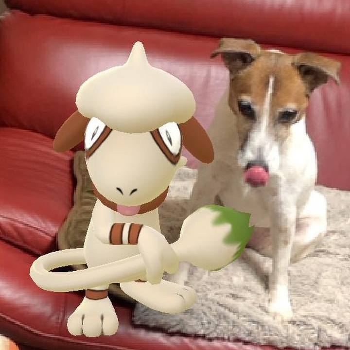 058ce845 81b7 4ee2 a662 a0d05d848f5e 1551191469831