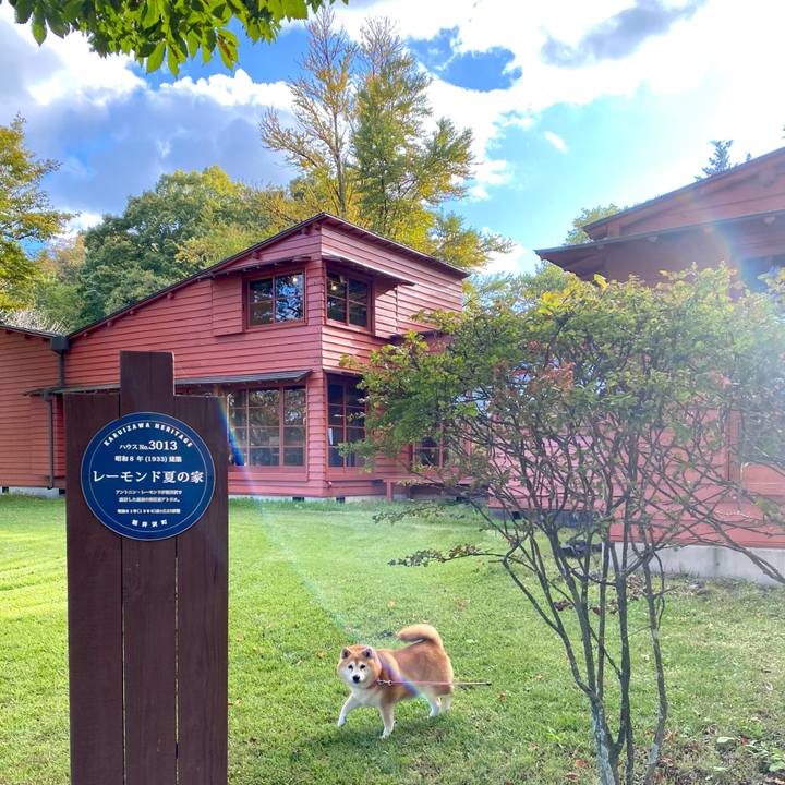 058ceb90 bd03 4fe1 8d93 90e5fcdafea9 1697373027138