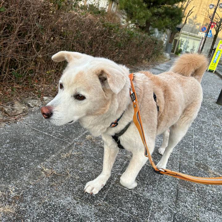 058cec4c 9048 42b6 8294 3f5c966ae0ae 1738976848722