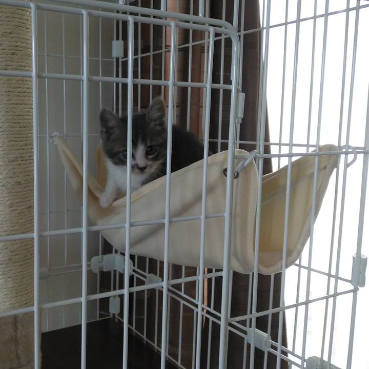 058cecb1 7e34 40cf 9ccf 2eb12437b299 1560256602637