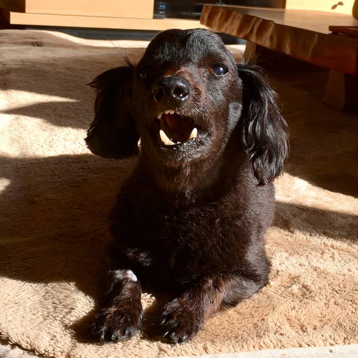 058cece1 a656 46b7 b55f 1e3939a495e7 1588285958151