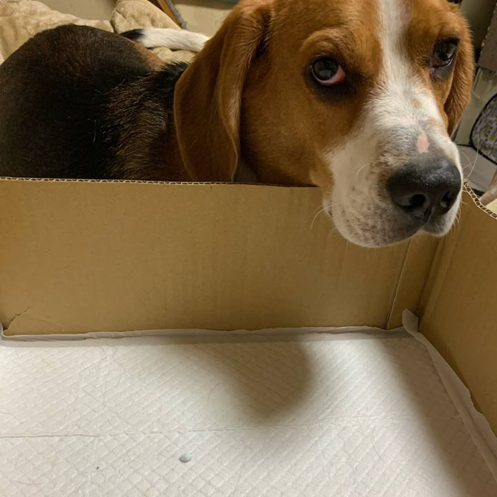 058d407f 21e7 43b5 bd7a e3c5ca355751 1587742228879