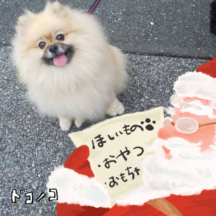 058d4751 782d 491c a2b4 4c15e276b73c 1729767165012