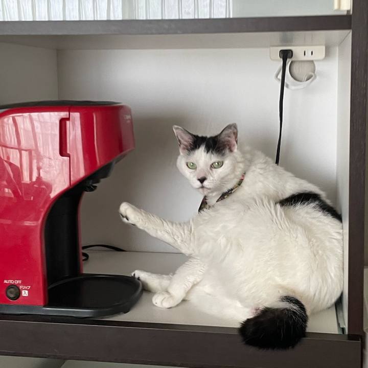 058d4cf8 9fc4 497c 8682 54cd1161e622 1655523372783