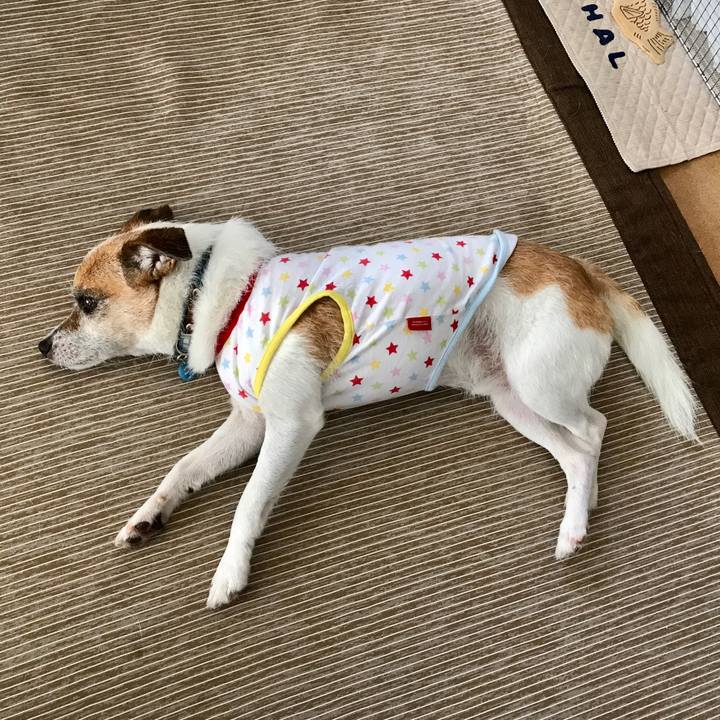 058d6324 bb7f 4517 a407 57b93dcad69f 1596686437222