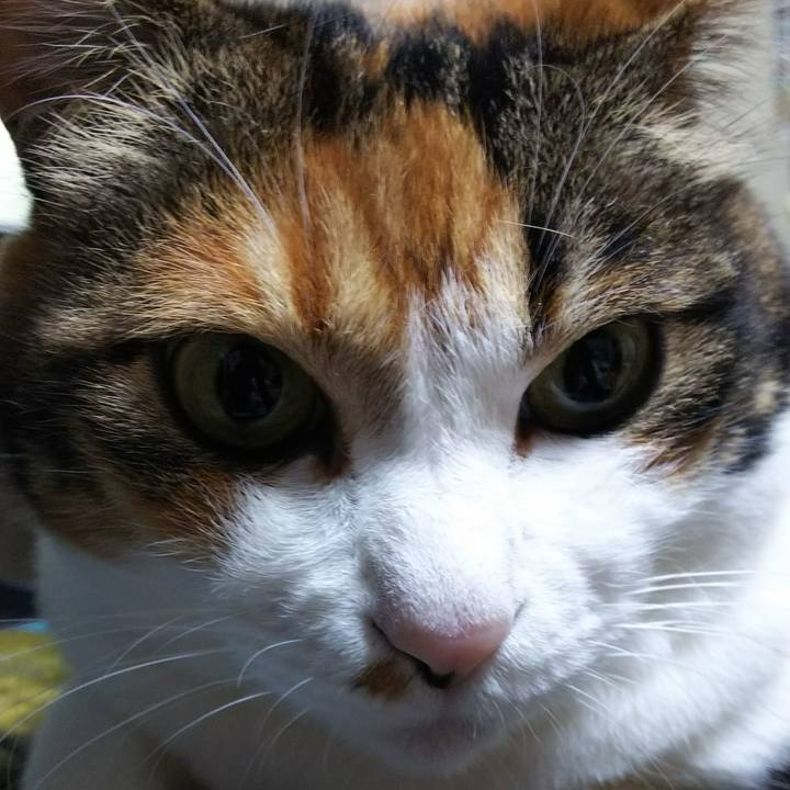 058d8717 dd3f 4d55 b378 0b20862c6f1c 1526124038676