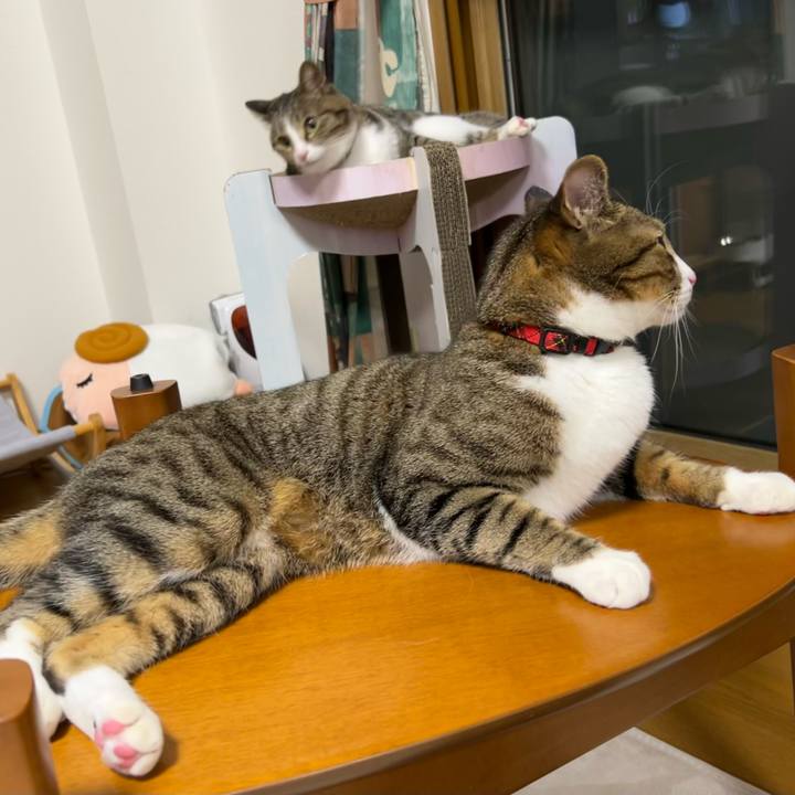 058dbb06 7a3d 4e0d 8a12 2d96a9074b3d 1743175381124