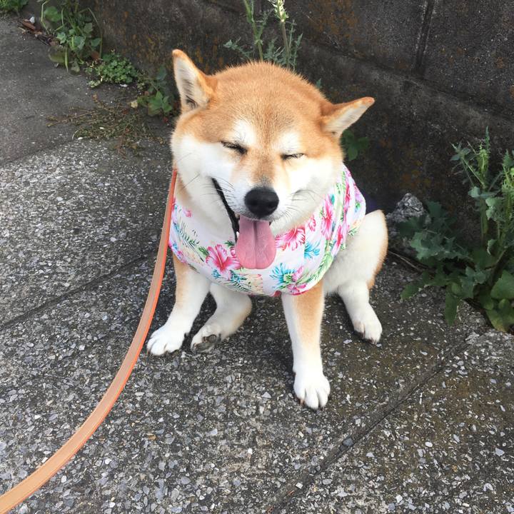 058dd40d 2cf7 46b0 b72f 705714d1dbd5 1565048625374