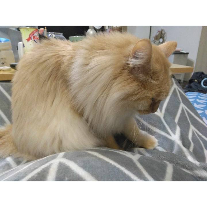 058dd4e3 51c4 4e36 b149 246644310e61 1710856087634