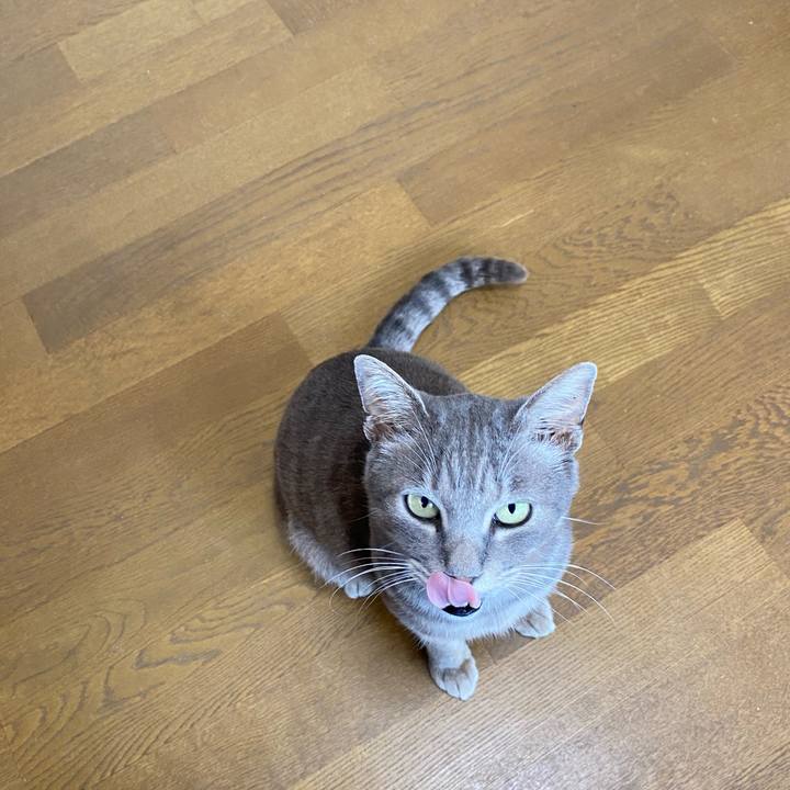 058e18ed c305 4140 bf14 f8f46d84242f 1587314236595