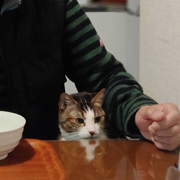 058e3e3b 340d 42c2 a671 1f4718ba0f79 1612252658581