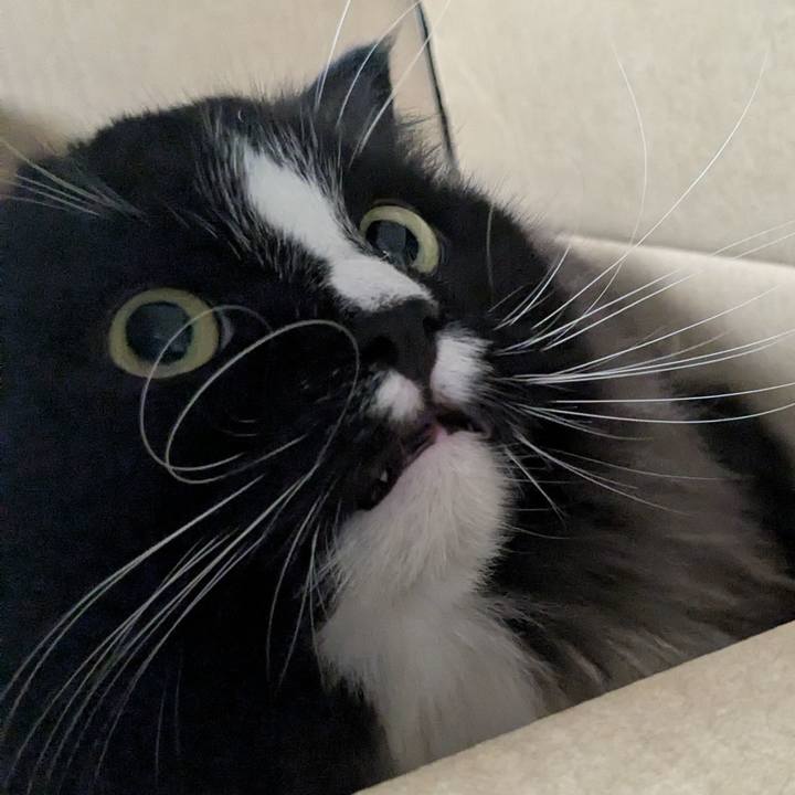 058e40f0 408e 4e01 aced 237e89554b61 1760349141684