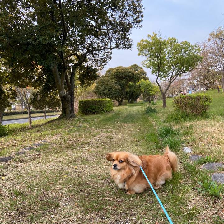 058e6485 c40b 4033 8ef6 7cb4afbed486 1586987249927