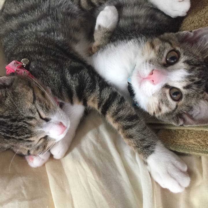 058e8435 9af4 4eaf bbe9 a1fc93ddd1a0 1657395284385