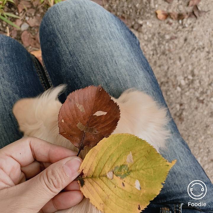 058eac85 f173 4b67 ae86 98e334f73eda 1600321502676