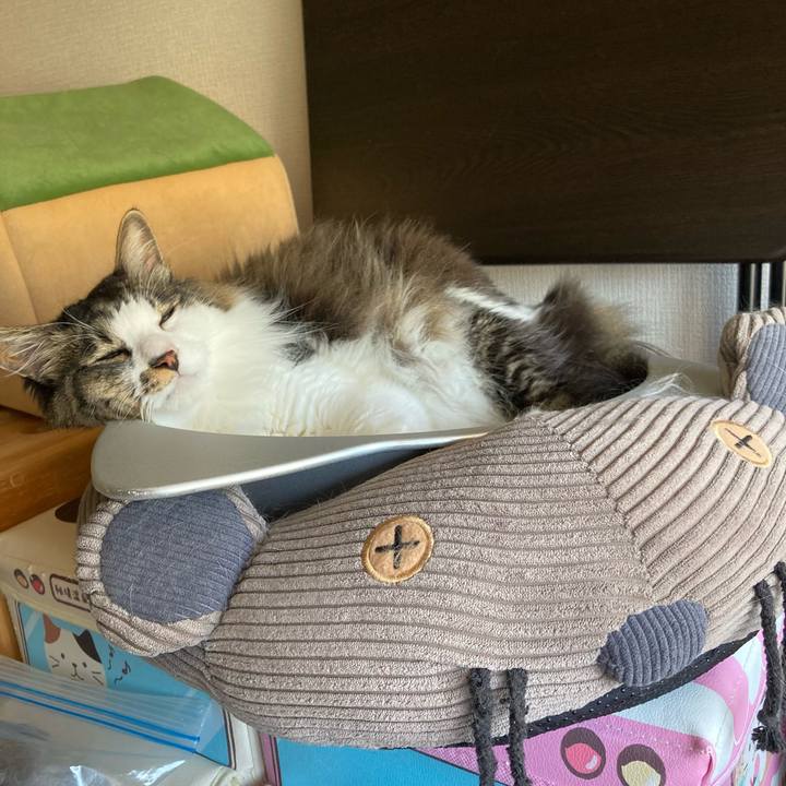 058ed46d 55f4 46c9 9a8d 68aa94580dfe 1722291117077