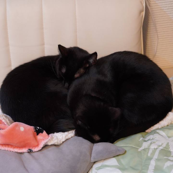 058edd7c d2a0 4ffb 803d 2f342f26ffee 1578579542098