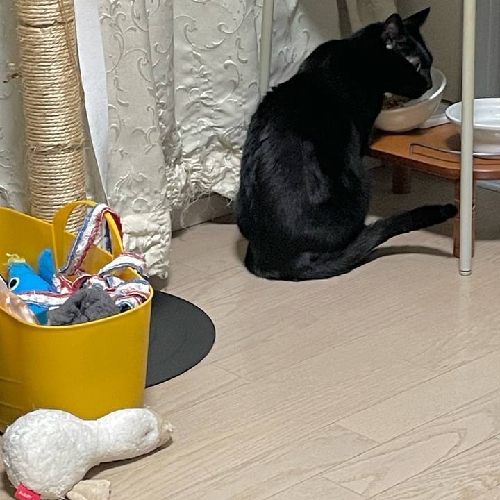 058f0882 cdd5 4bed 996c 38e72824318d 1681653401698