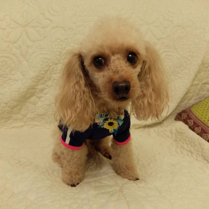 058f0e1b 40f9 4f49 ab81 6d74b30841fc 1530541306022