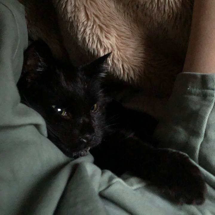 058f1268 86ae 42d8 a98a 24d979fe1822 1649083269042