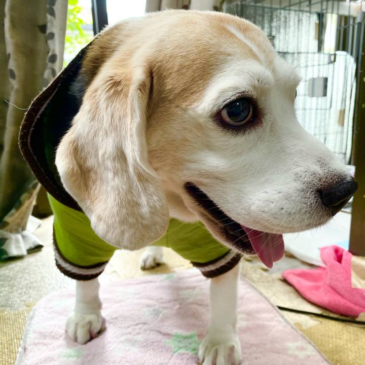 058f1c0d 44c6 4298 a09c 31ac97b4329b 1633578096032