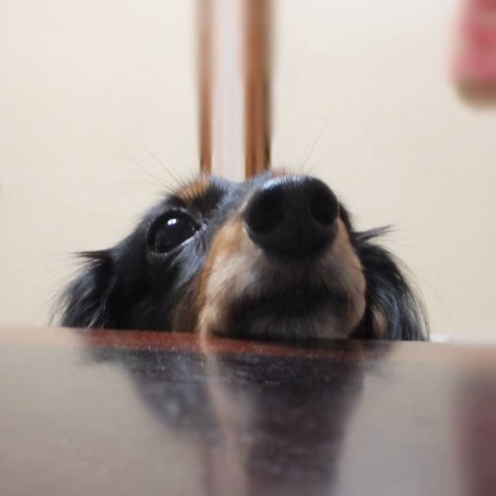 058f2264 7600 4536 97f4 1a77176ba17a 1730425946555