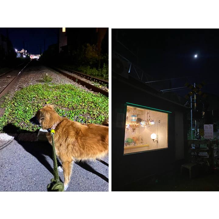 058f31b6 91bc 44ff b533 27964587ee7b 1762589892003