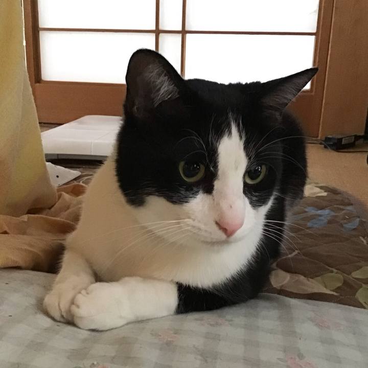 058f3657 4247 4c8a 81be ce41b349abe4 1685510080061