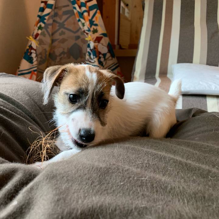 058fe72c 2cab 46cd aa54 cf76cf2eb5f8 1559871996759