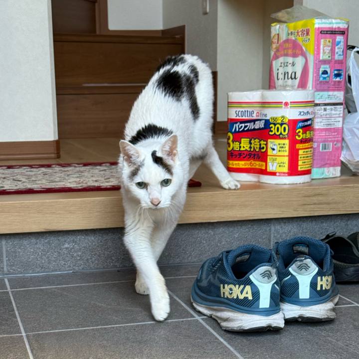 058ffbdd eea8 4959 9f69 11967c46e094 1763959677555