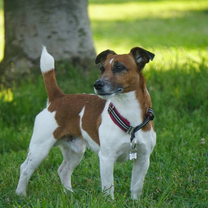 059001cb beb9 47bb 8f3b ccd9263358c9 1560813981324