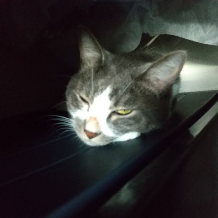 05900de6 c5bc 46b9 9bb9 280ba4bfa18e 1628211155468