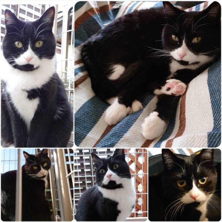 05900eb1 fc1b 4fc4 a38d 06ed01e9d040 1683560148850