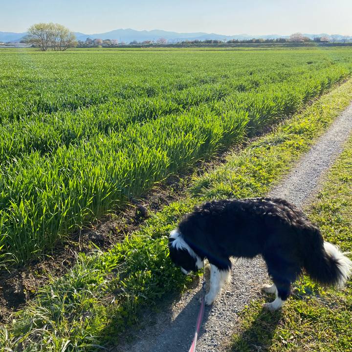 05901aa9 def4 4ffd a98f 88c6379f01da 1649117103167