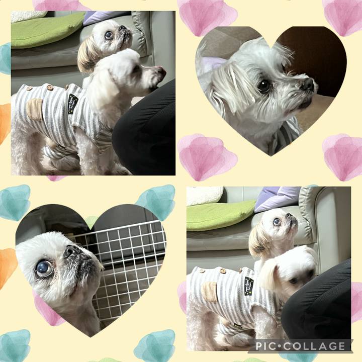 05902aca f542 44cc b99e e24a0ace0eca 1676716319591