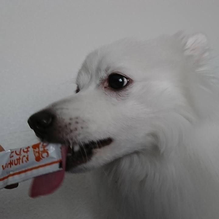 05904793 210b 4610 ae6d 26f0b41f9203 1580010544563