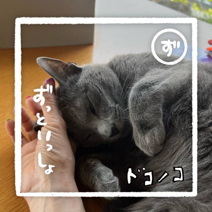 05904815 360b 4c60 b356 40df515f005d 1686002778656